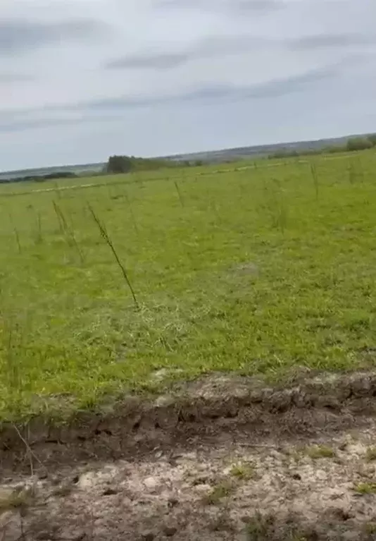 Участок в Тульская область, Заокский район, Демидовское с/пос, д. ... - Фото 1