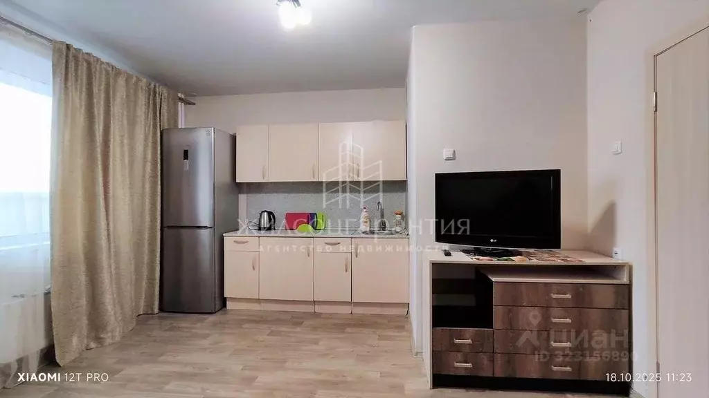 Студия Челябинская область, Челябинск ул. 2-я Эльтонская, 61А (24.5 м) - Фото 2