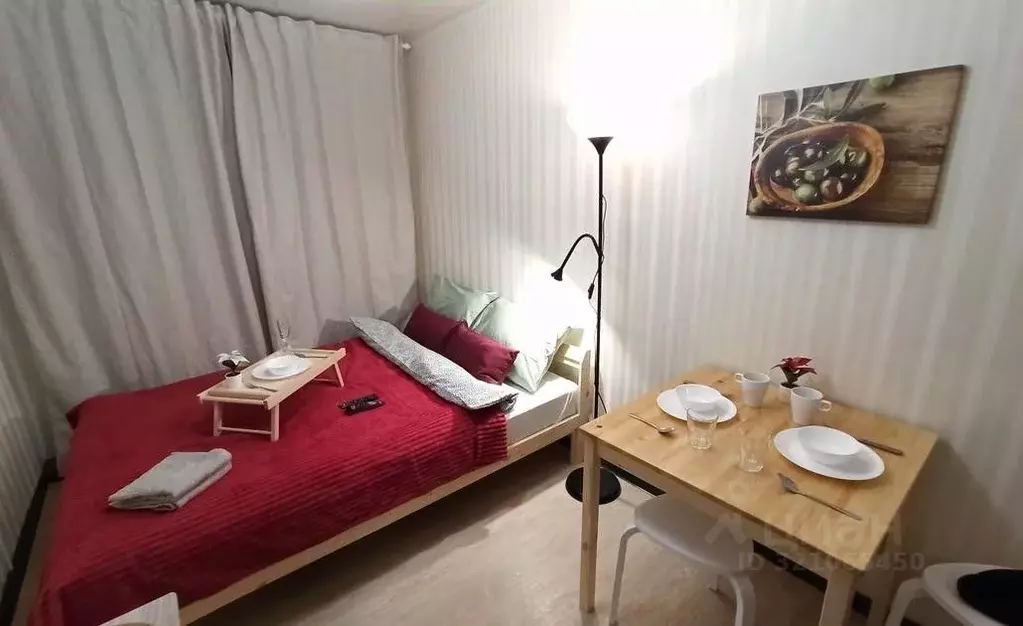 1-к кв. Новосибирская область, Новосибирск ул. Блюхера, 54 (18.0 м) - Фото 1