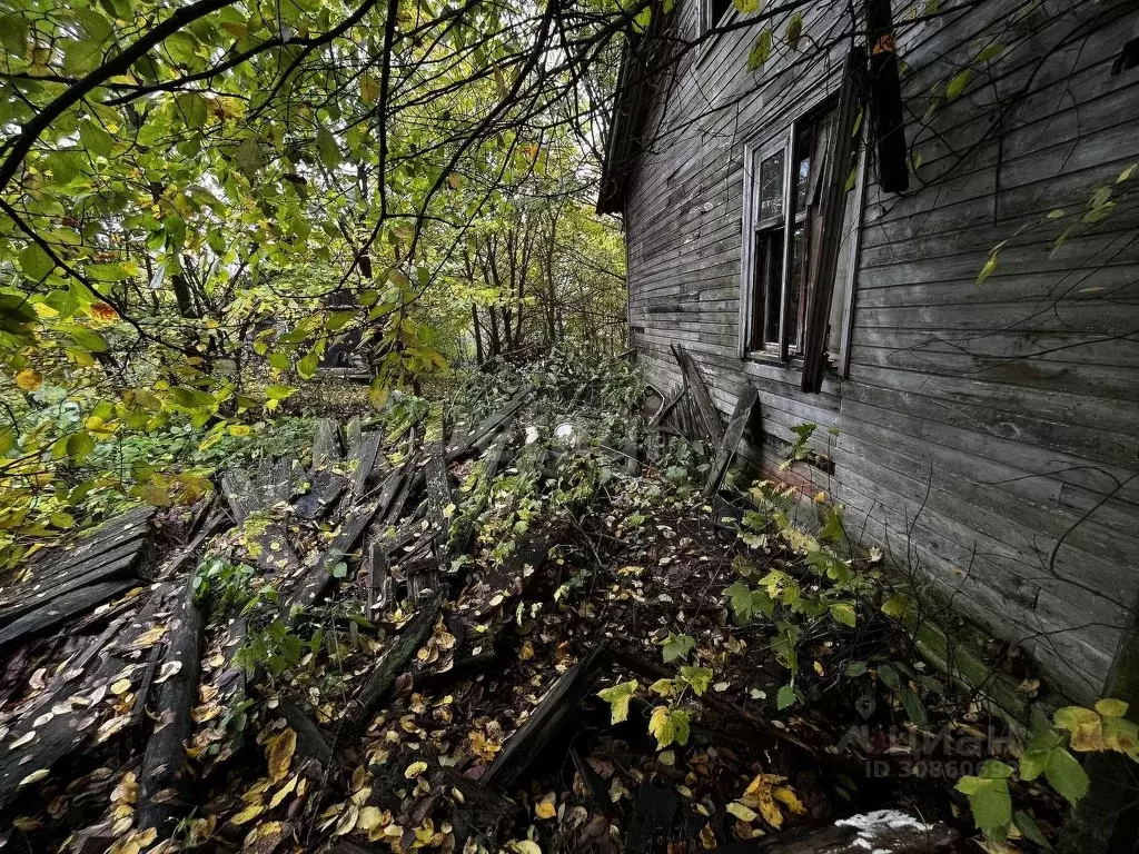 Участок в Костромская область, Красносельский район, Прискоковское ... - Фото 1