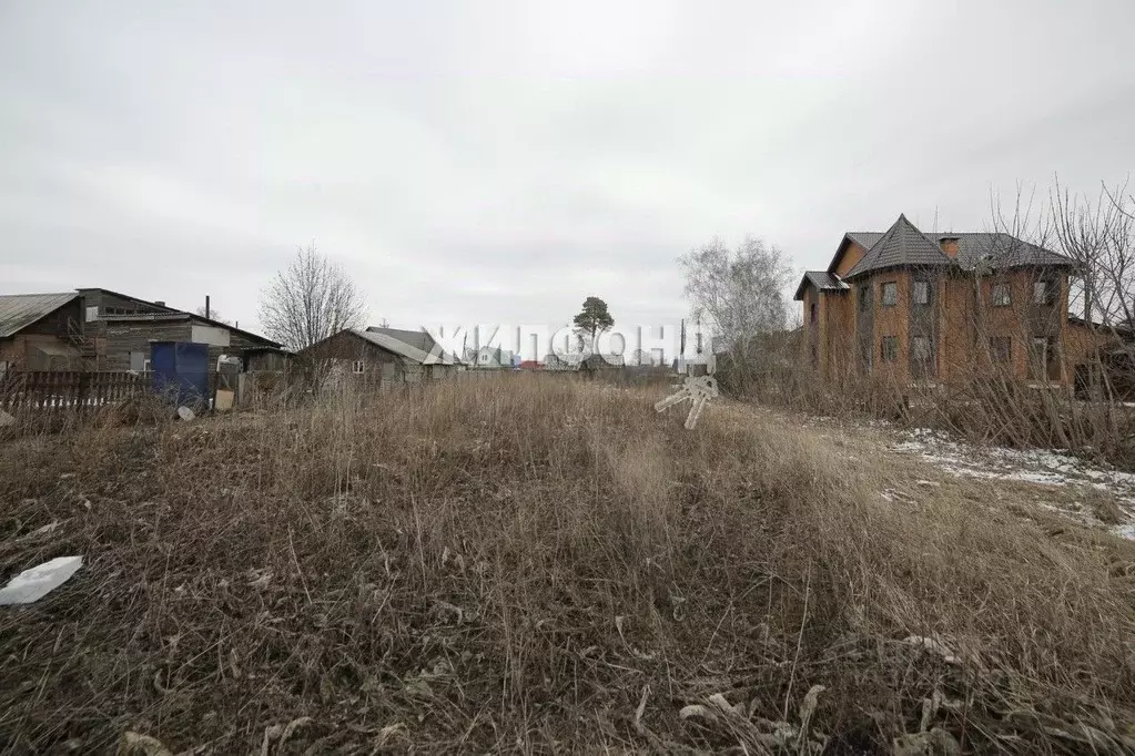 Участок в Новосибирская область, Ордынское рп ул. Рабочая (16.2 сот.) - Фото 1