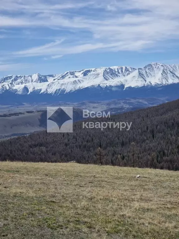 Участок в Алтай, Улаганский район, с. Акташ ул. Депутатская (1.0 сот.) - Фото 1