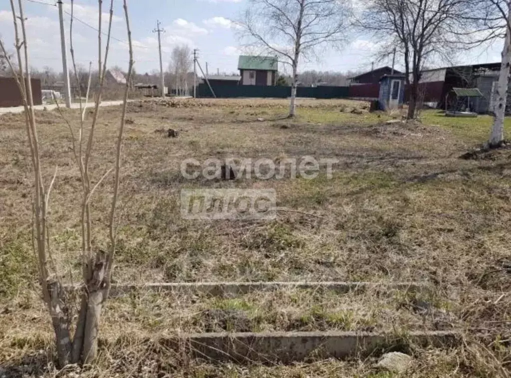 Участок в Приморский край, Надеждинский муниципальный округ, пос. ... - Фото 1