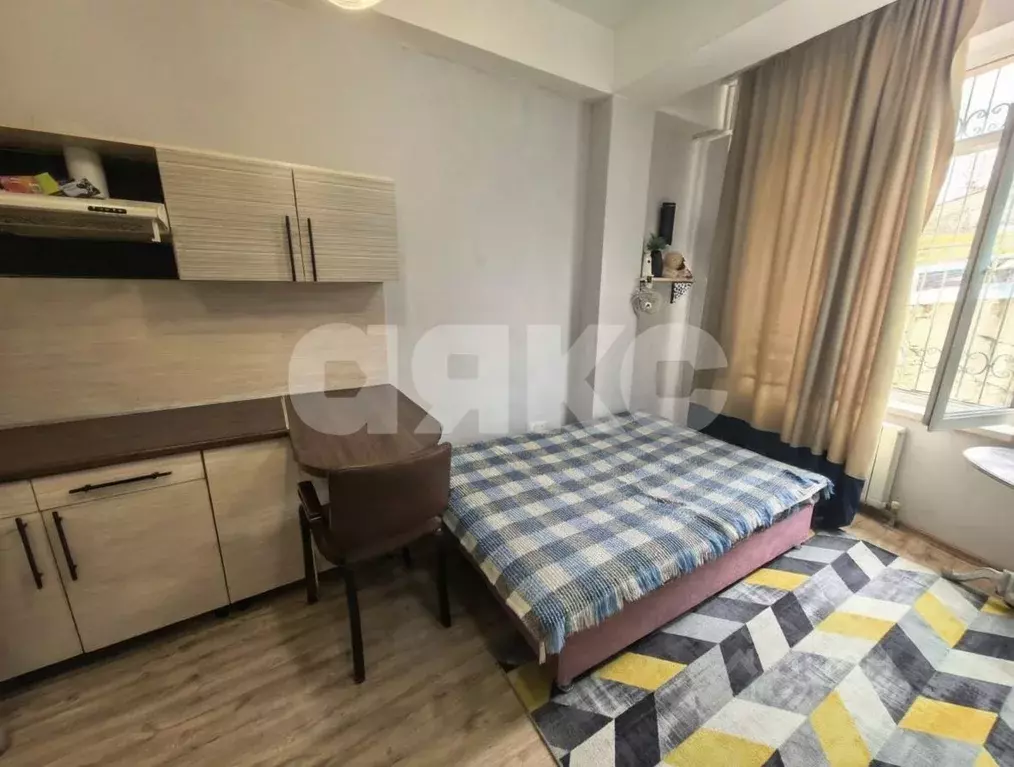 Студия Краснодарский край, Сочи городской округ, с. Раздольное ул. ... - Фото 2