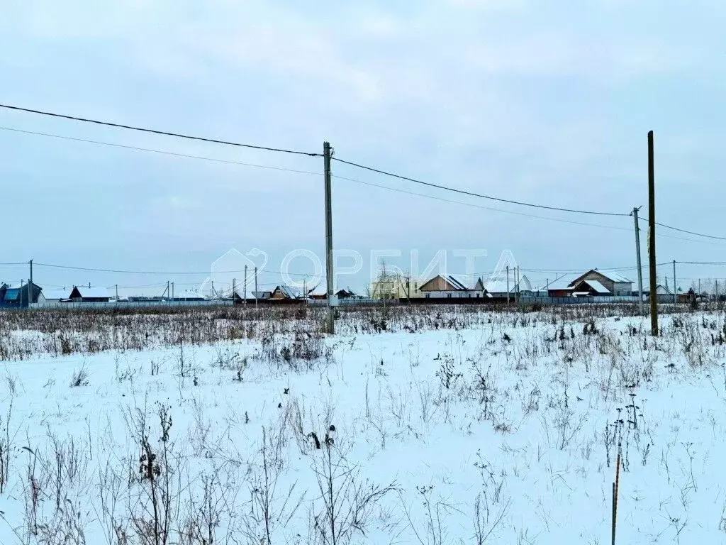 Участок в Свердловская область, Тугулымский муниципальный округ, с. ... - Фото 2