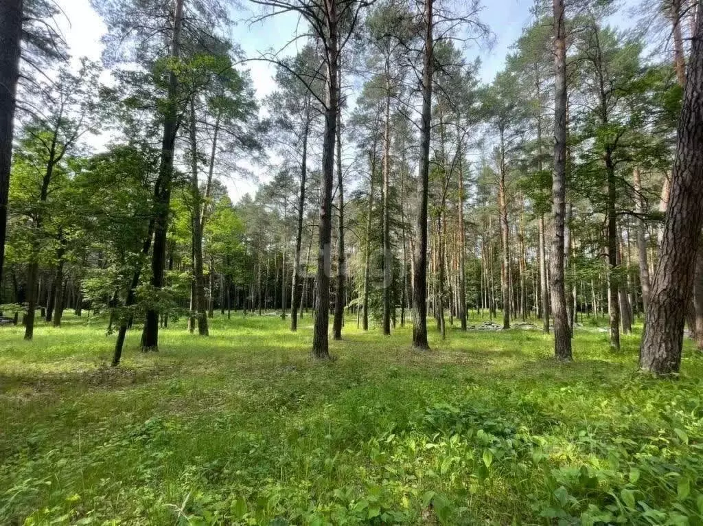 Участок в Тульская область, Алексин  (590.0 сот.) - Фото 0