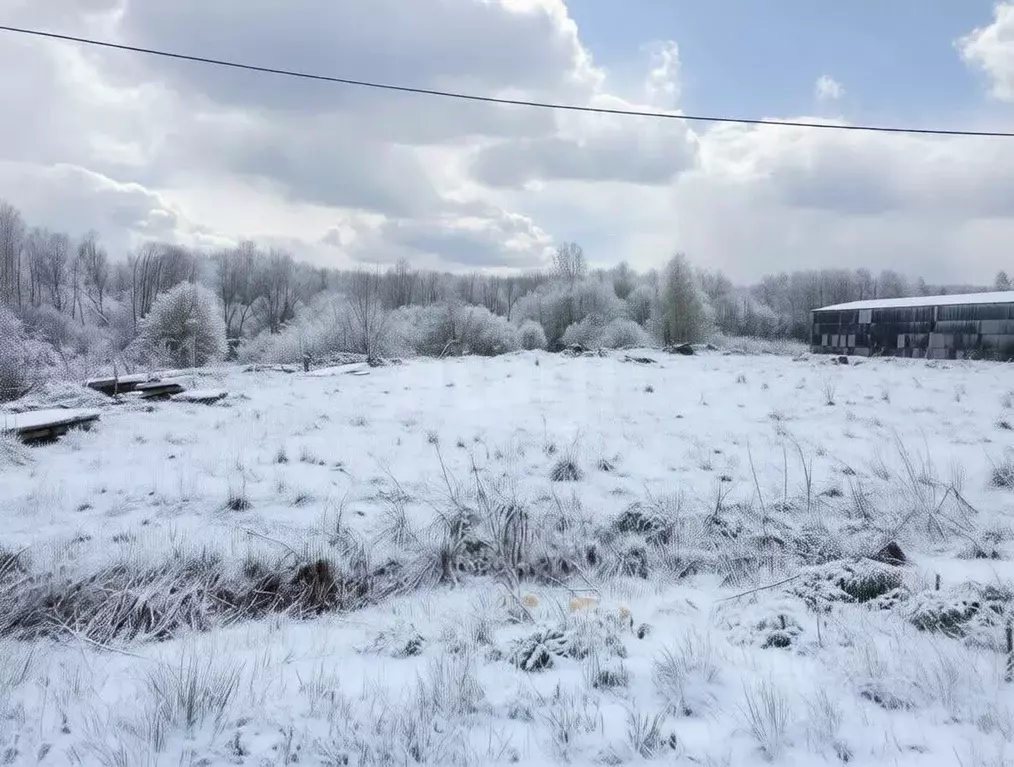 Участок в Ярославская область, Ярославский муниципальный округ, ... - Фото 1