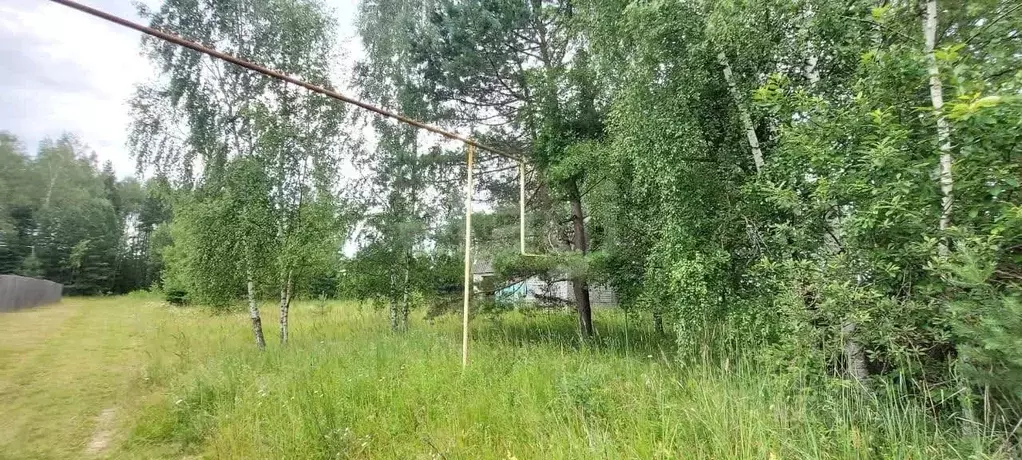 Участок в Владимирская область, Ковровский район, Малыгинское с/пос, ... - Фото 1