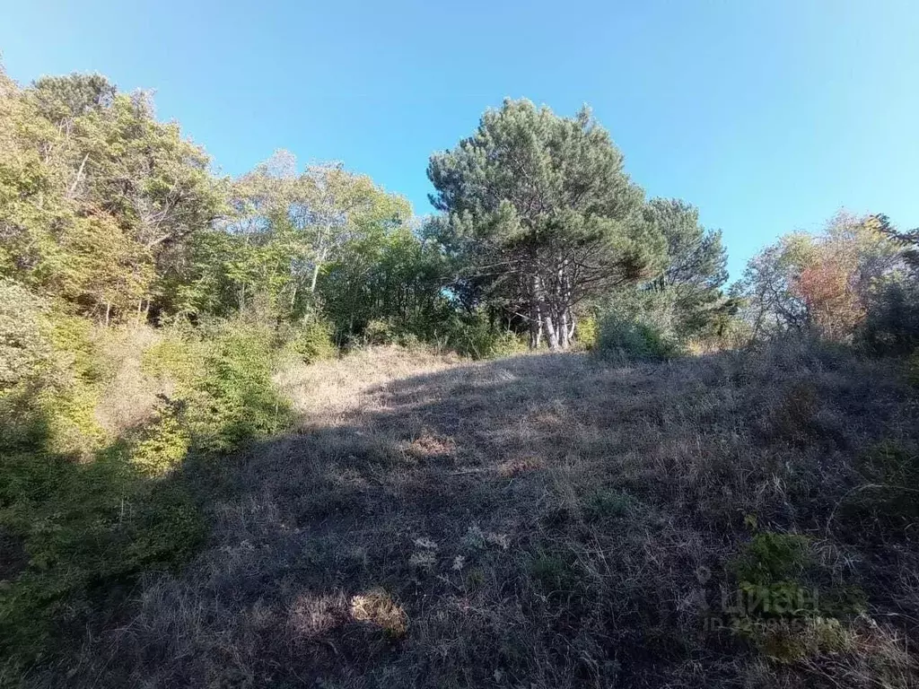 Участок в Крым, Ялта Ени-Дерекой мкр,  (4.8 сот.) - Фото 1