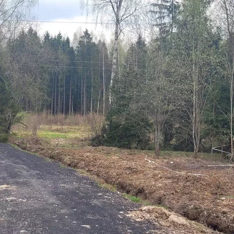 Участок в Московская область, Дмитровский муниципальный округ Русская ... - Фото 2