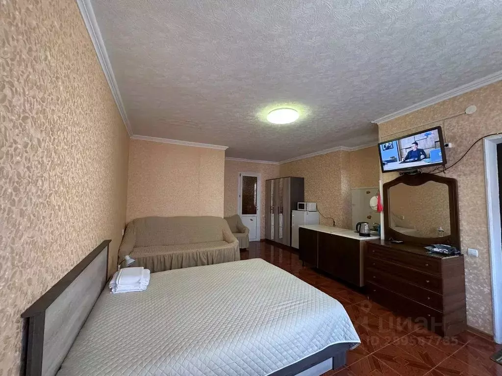 Студия Ставропольский край, Кисловодск ул. Чкалова, 3 (45.0 м) - Фото 1