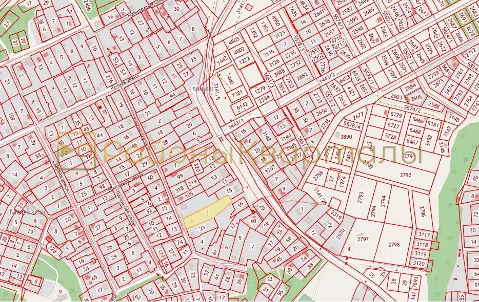 Участок в Новосибирская область, Искитимский район, с. Морозово ... - Фото 2