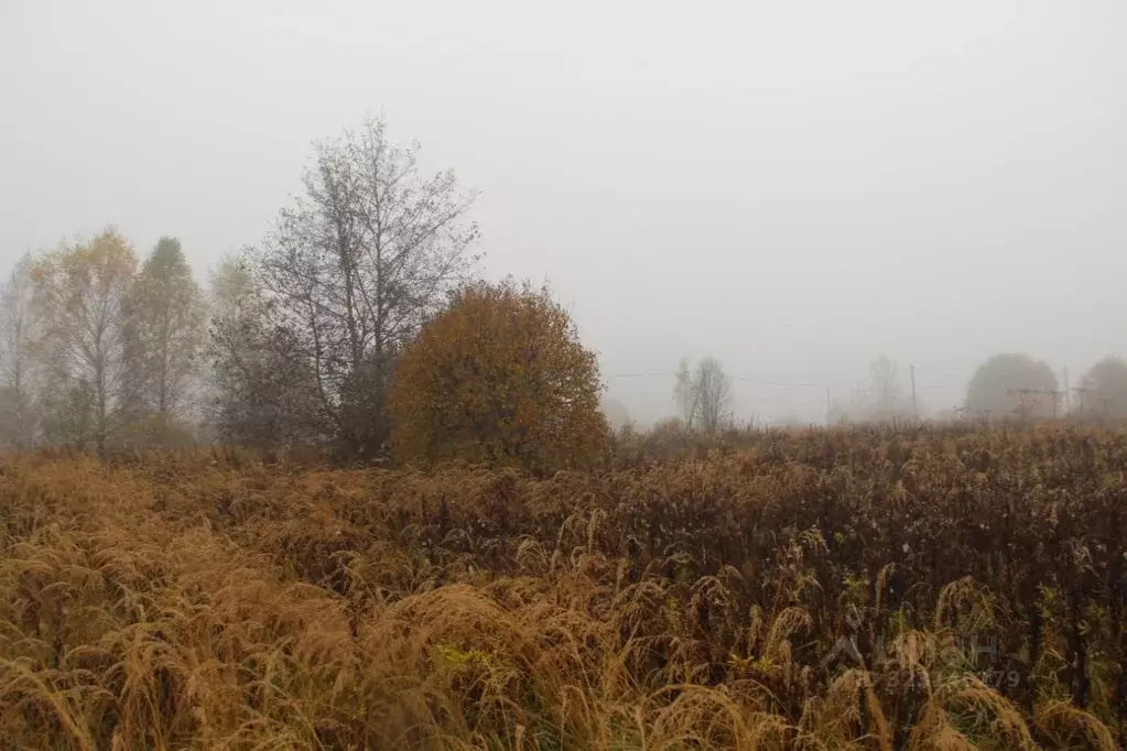 Участок в Московская область, Шаховская муниципальный округ, д. ... - Фото 1