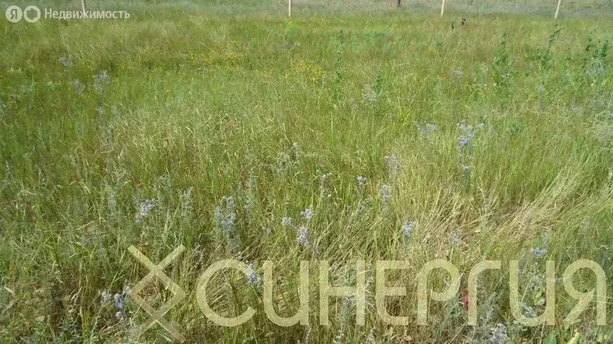 Участок в хутор Дугино, улица Пушкина (4 м) - Фото 0
