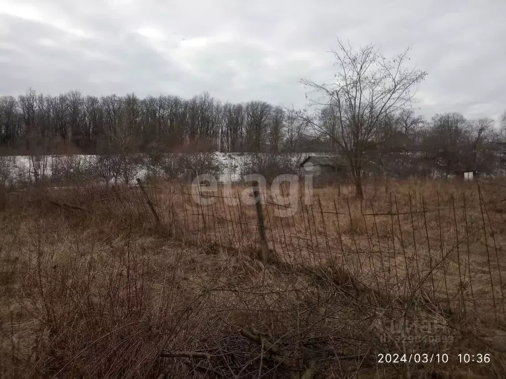 Участок в Белгородская область, Белгородский район, Беломестненское ... - Фото 1