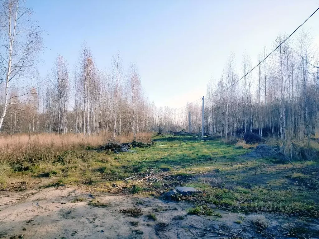 Участок в Новосибирская область, Новосибирский район, Станционный ... - Фото 0