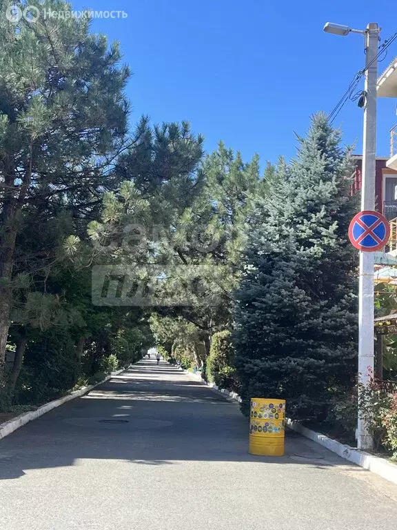 Квартира-студия: Николаевка, Чудесная улица, 2 (20 м) - Фото 1