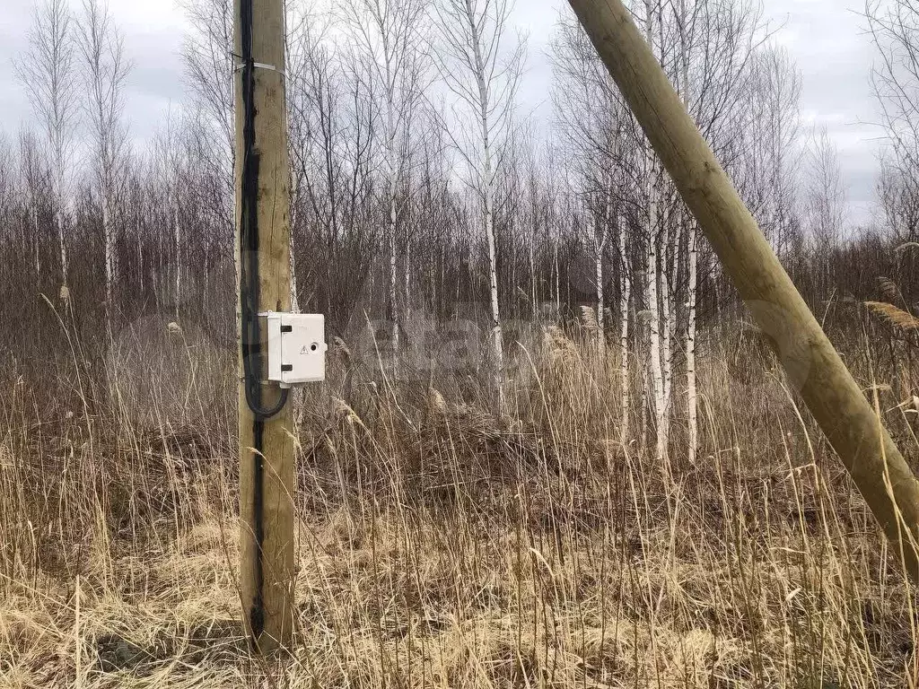 Участок 9,8 сот. (СНТ, ДНП) - Фото 0