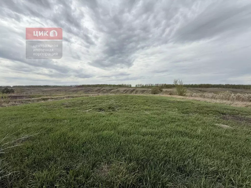 Участок в Рязанская область, Рязанский район, Высоковское с/пос, с. ... - Фото 1