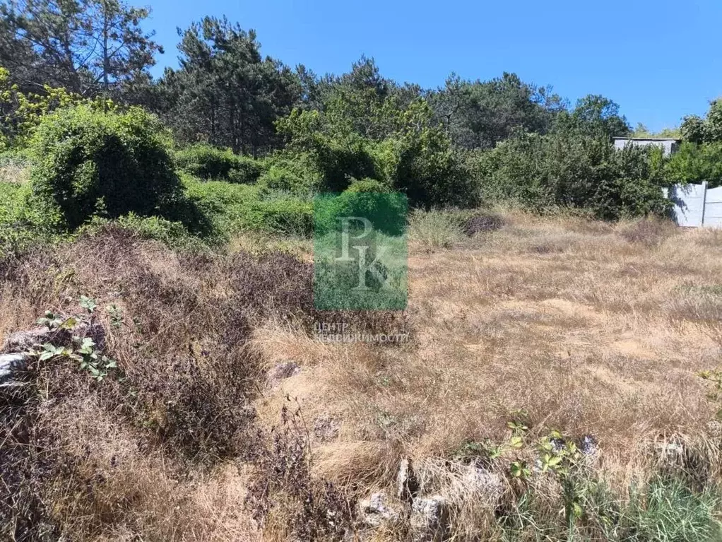 Участок в Севастополь ул. Лесная (9.0 сот.) - Фото 2