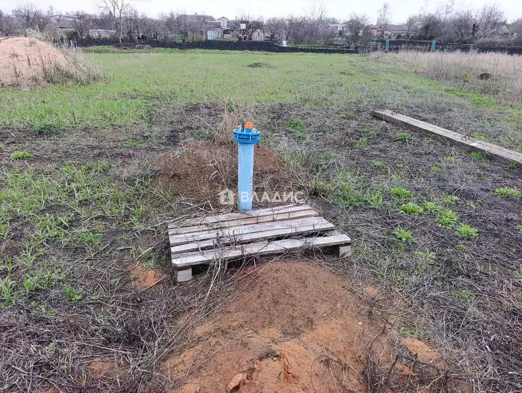 Участок в Белгородская область, Корочанский район, с. Погореловка  ... - Фото 2