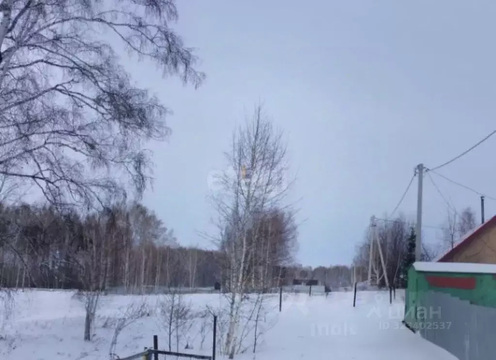 Участок в Новосибирская область, Колыванский район, Металлург СНТ ул. ... - Фото 2