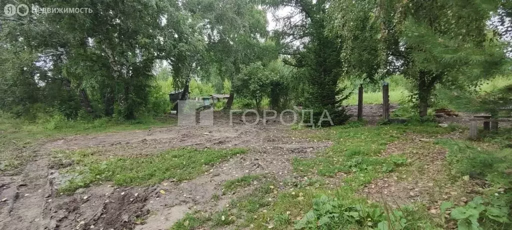 Участок в Новоалтайск, посёлок Новогорский, улица Строителей (9.64 м) - Фото 1