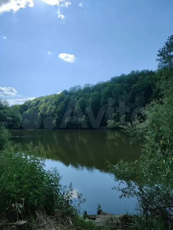 Участок 20 сот. (ИЖС) - Фото 0