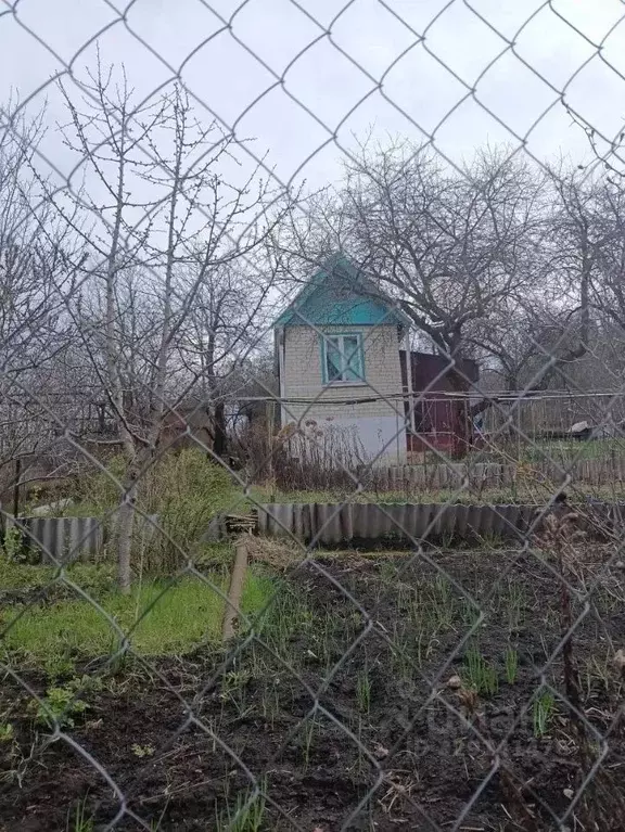 Дом в Белгородская область, Белгородский муниципальный округ, ... - Фото 2