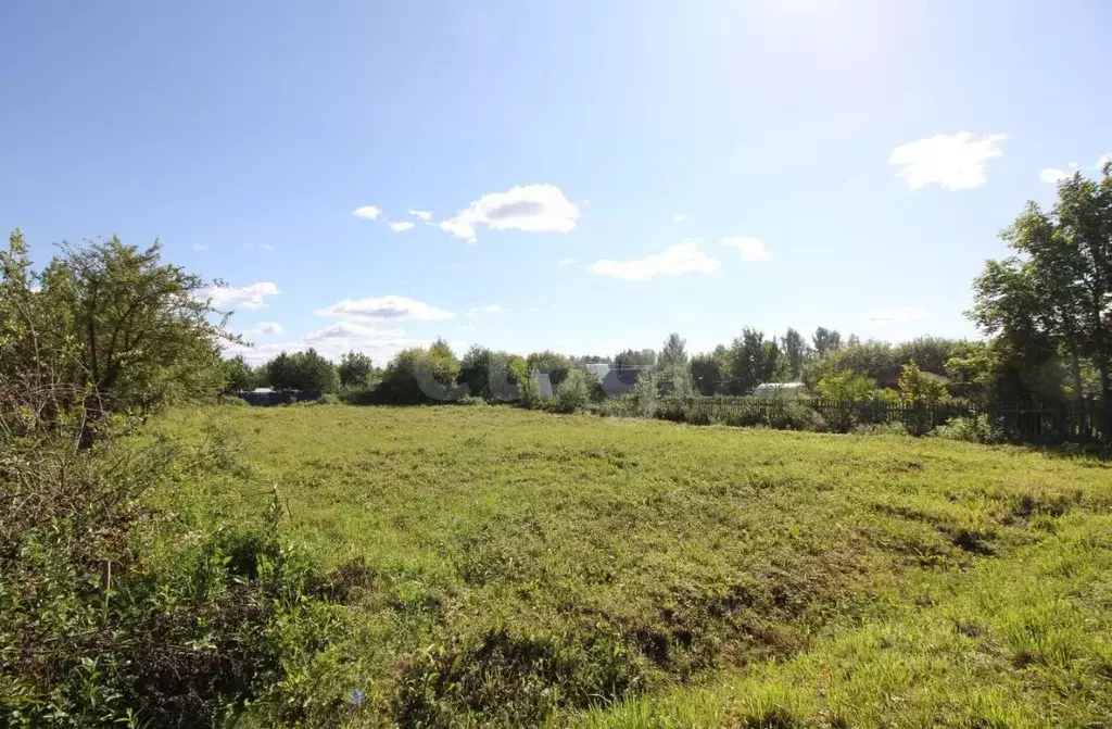 Участок в Вологодская область, Шекснинский муниципальный округ, Заря-2 ... - Фото 1