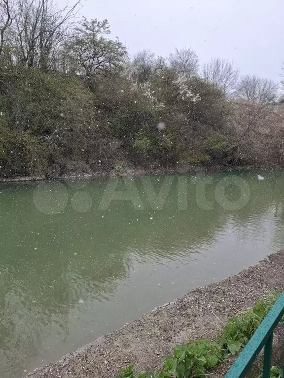 Участок 2 га (СНТ, ДНП) - Фото 1