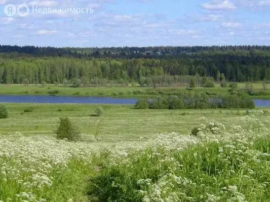 Участок в Вологодская область, Сокольский муниципальный округ, деревня ... - Фото 0