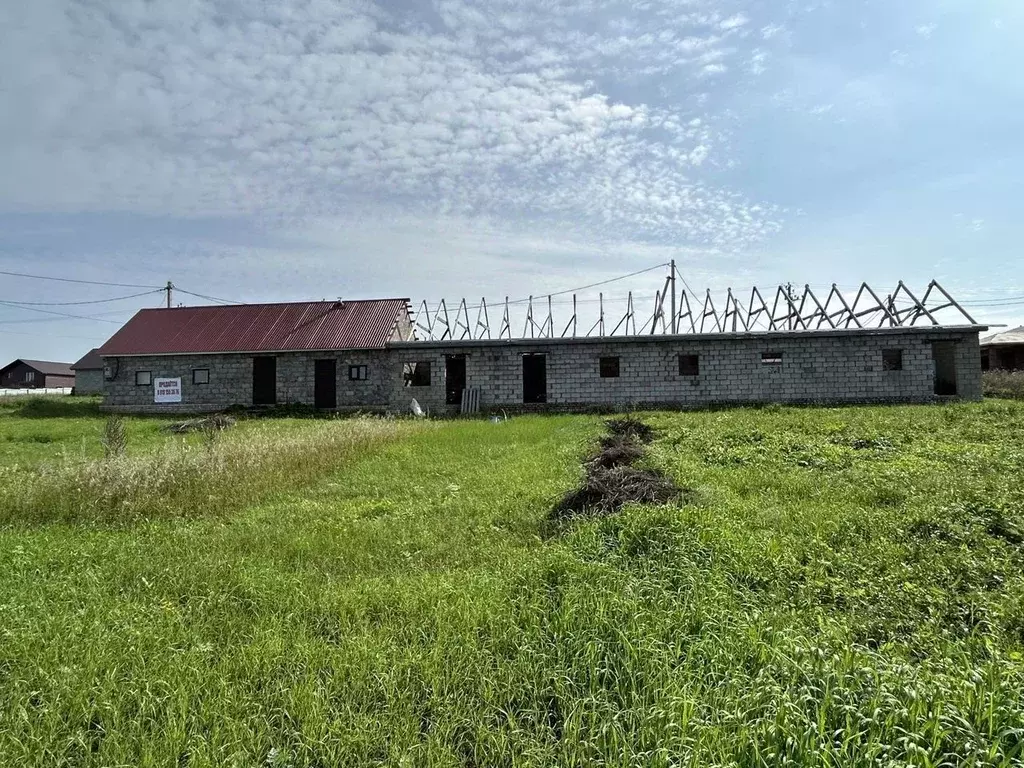 Участок в Башкортостан, Туймазинский район, Какрыбашевский сельсовет, ... - Фото 1