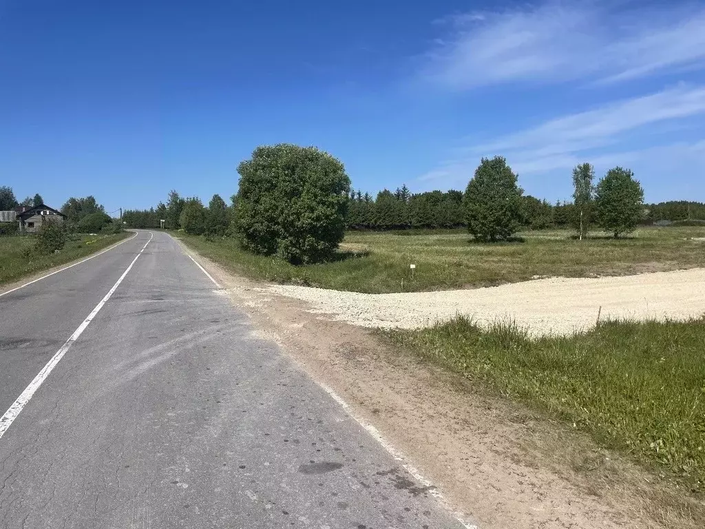 Участок в Ленинградская область, Гатчинский район, д. Ляды  (15.0 ... - Фото 1