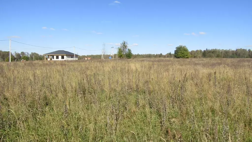 Участок в Московская область, Рузский муниципальный округ, с. ... - Фото 2