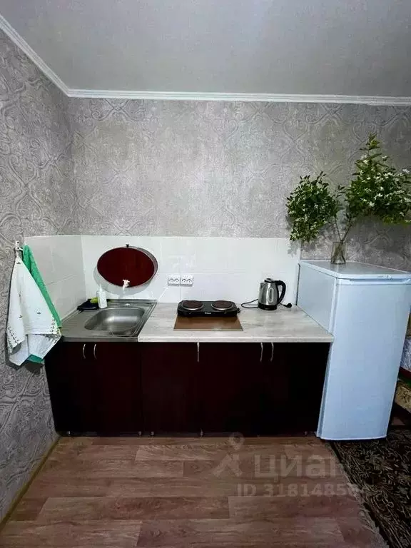 Дом в Алтайский край, Змеиногорский район, пос. Новохарьковка Дальняя ... - Фото 2