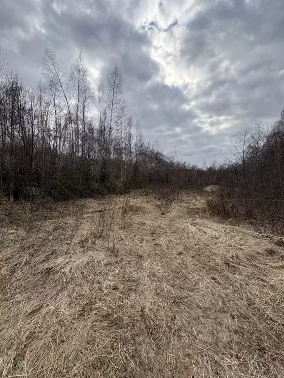 Участок в Смоленская область, Гагаринский муниципальный округ, д. ... - Фото 1