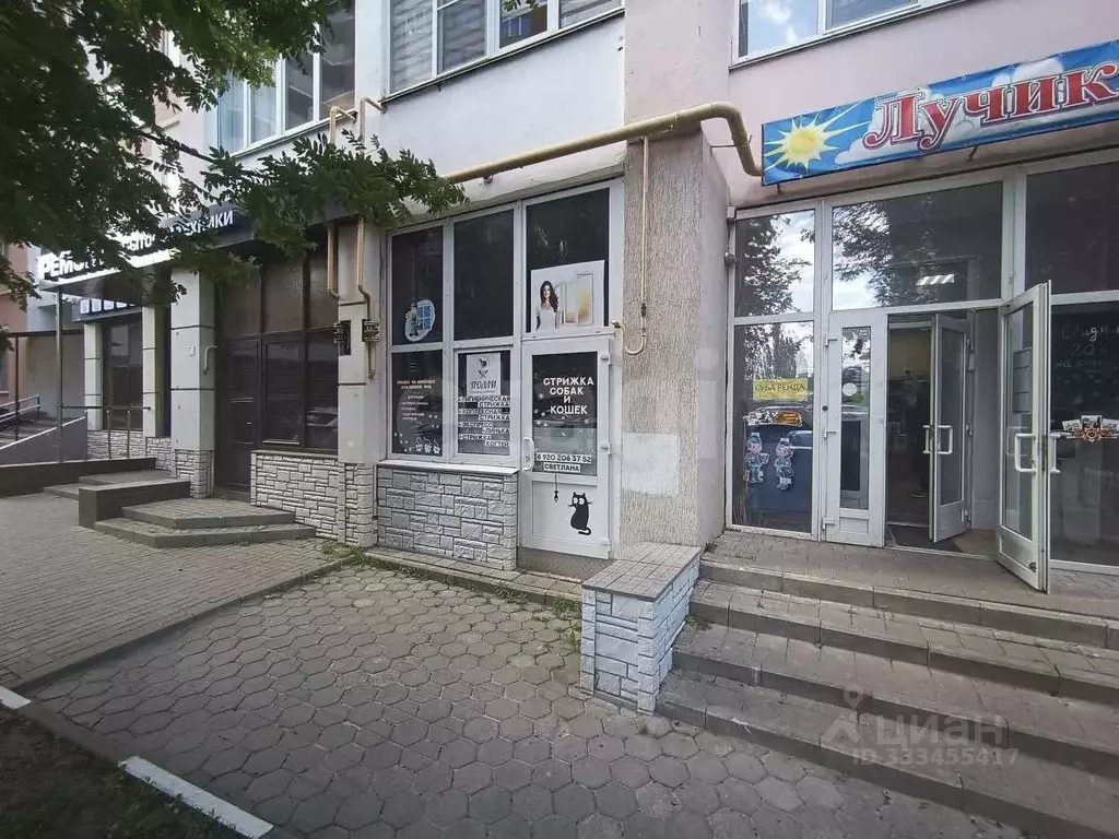 Торговая площадь в Белгородская область, Белгород ул. Щорса, 57 (82 м) - Фото 2