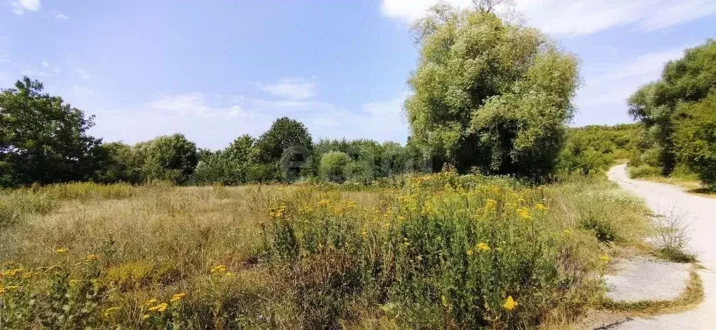 Участок в Крым, Феодосия муниципальный округ, с. Краснокаменка ул. ... - Фото 1