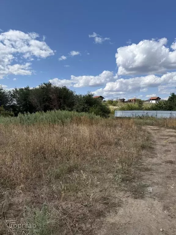 Участок в Саратовская область, с. Усть-Курдюм ул. Перспективная (10.0 ... - Фото 2