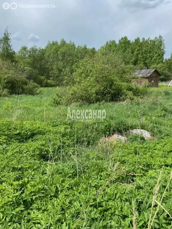 Участок в Приозерский район, Ларионовское сельское поселение, посёлок ... - Фото 0