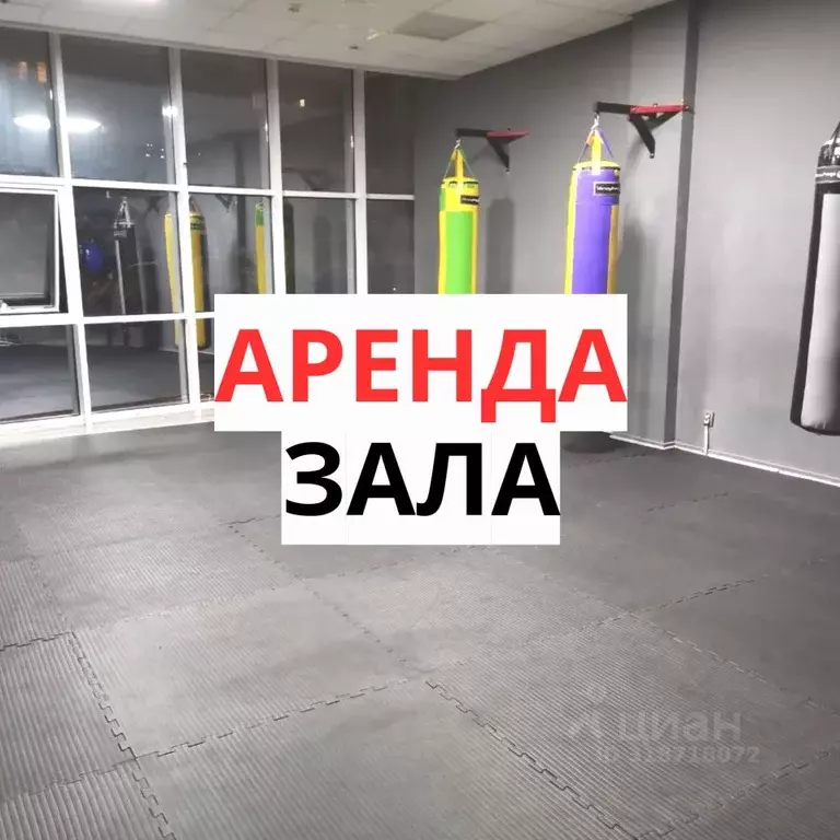 Помещение свободного назначения в Краснодарский край, Сочи Центральный ... - Фото 0