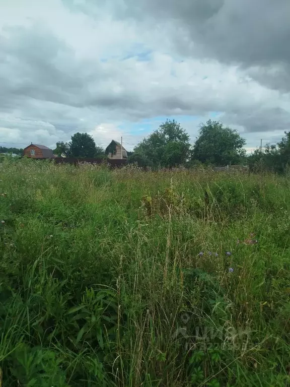 Участок в Московская область, Клин городской округ, д. Щекино  (5.0 ... - Фото 1