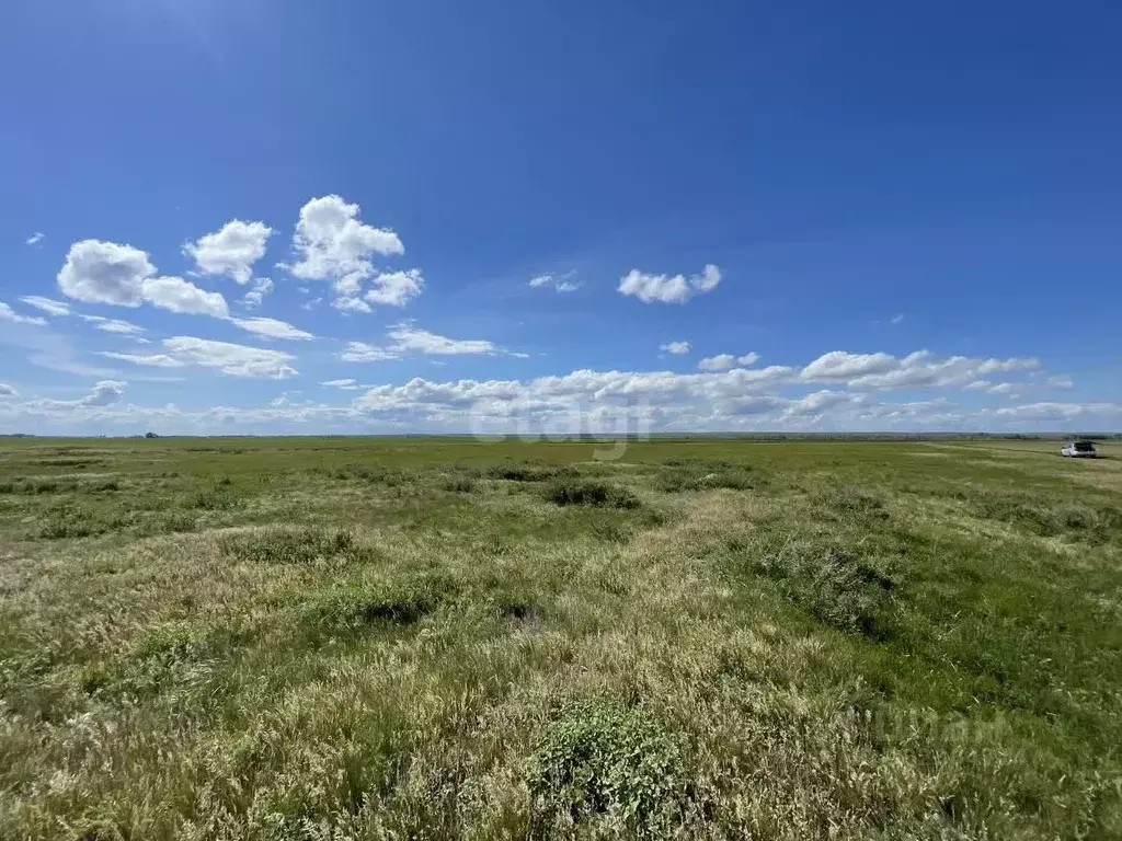 Участок в Оренбургская область, Александровский район, Каликинский ... - Фото 0