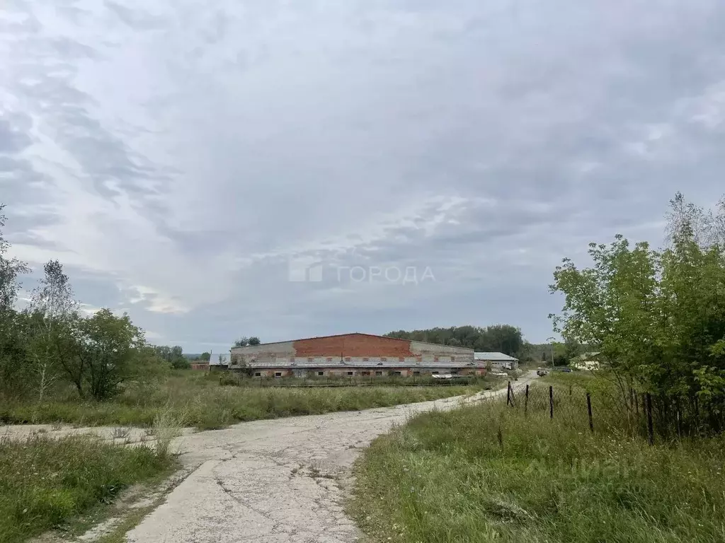 Помещение свободного назначения в Алтайский край, Первомайский район, ... - Фото 1