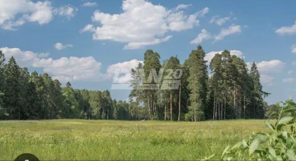 Участок в Челябинская область, Красноармейский район, Лазурненское ... - Фото 1