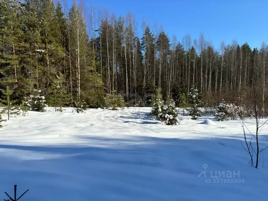 Участок в Вологодская область, Усть-Кубинский муниципальный округ, ... - Фото 1