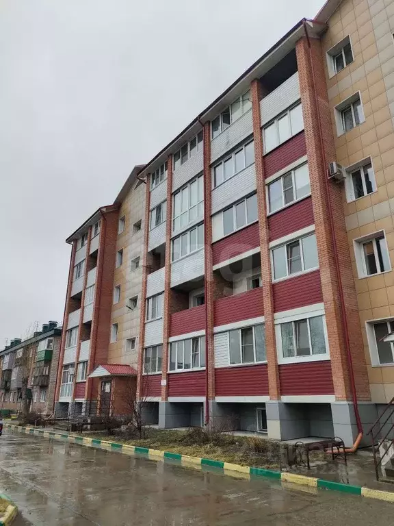 1-к кв. Алтайский край, Бийск ул. Михаила Ломоносова, 32 (20.0 м) - Фото 1