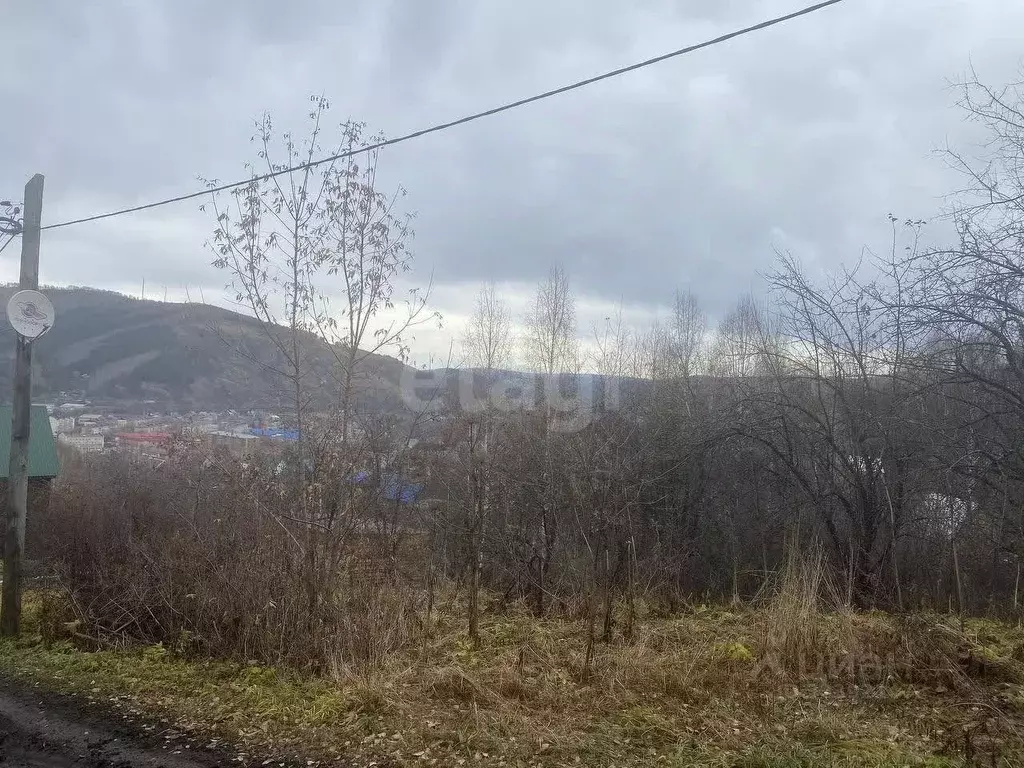 Участок в Алтай, Горно-Алтайск Электрик СНТ, 13 (6.75 сот.) - Фото 1