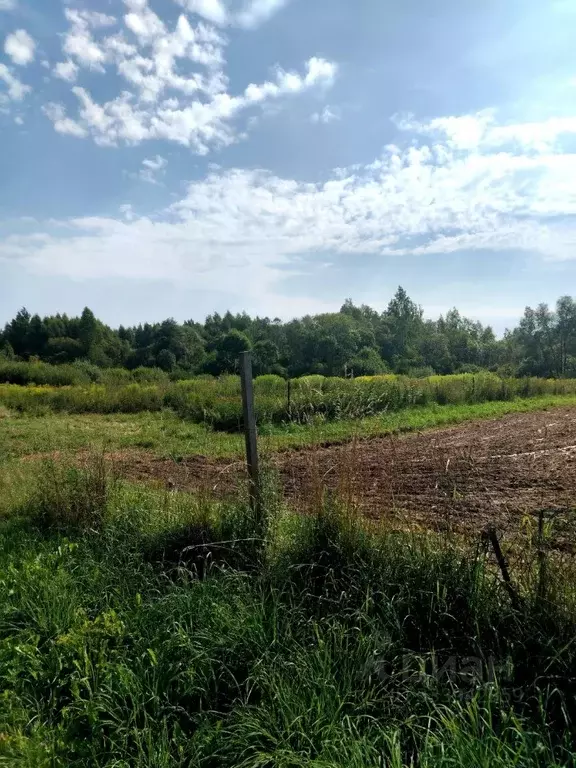 Участок в Псковская область, Псковский муниципальный округ, д. ... - Фото 2